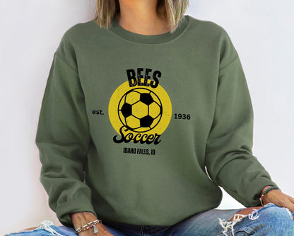 Personalized Soccer Team and Mascot Sweatshirt