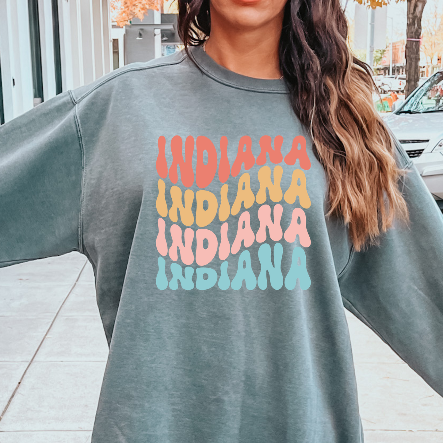 Retro State Comfort Color Sweatshirt