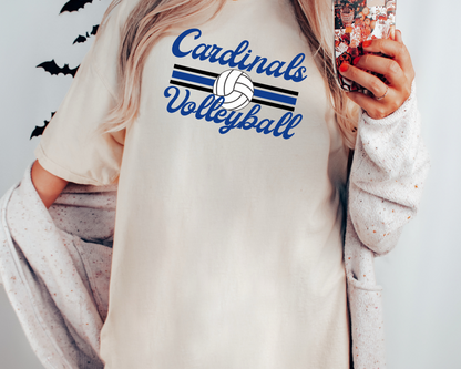 Retro Volleyball Comfort Color Tee