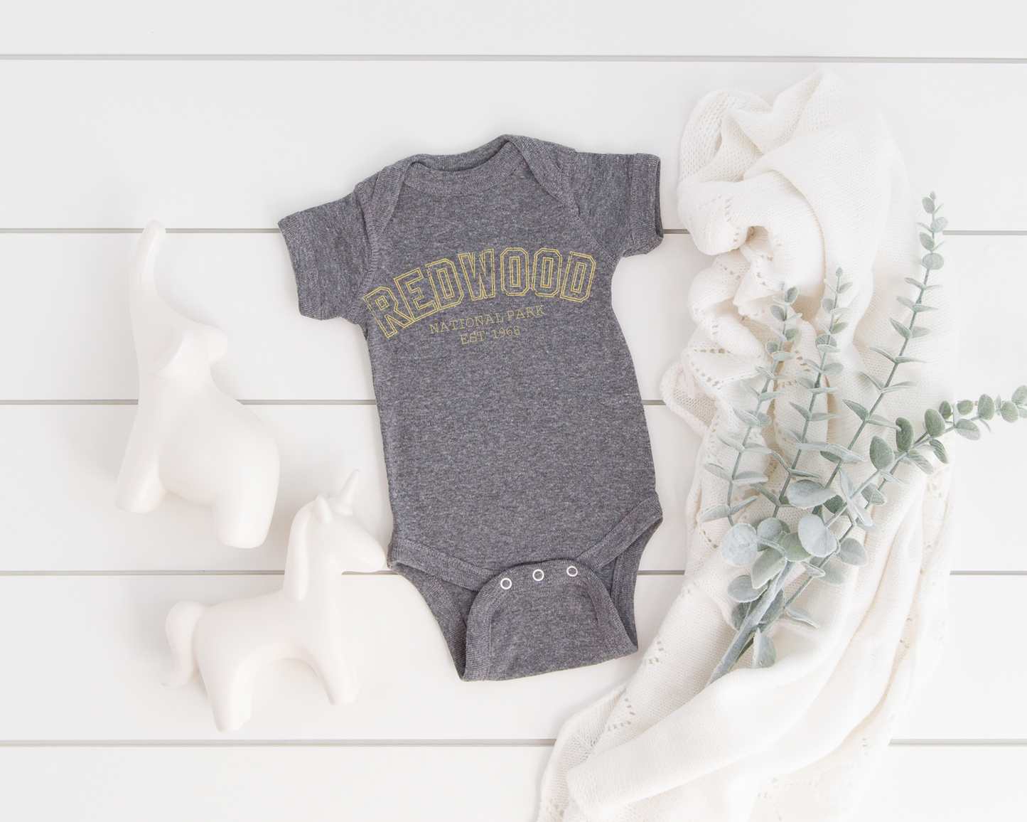 National Park Baby Bodysuit