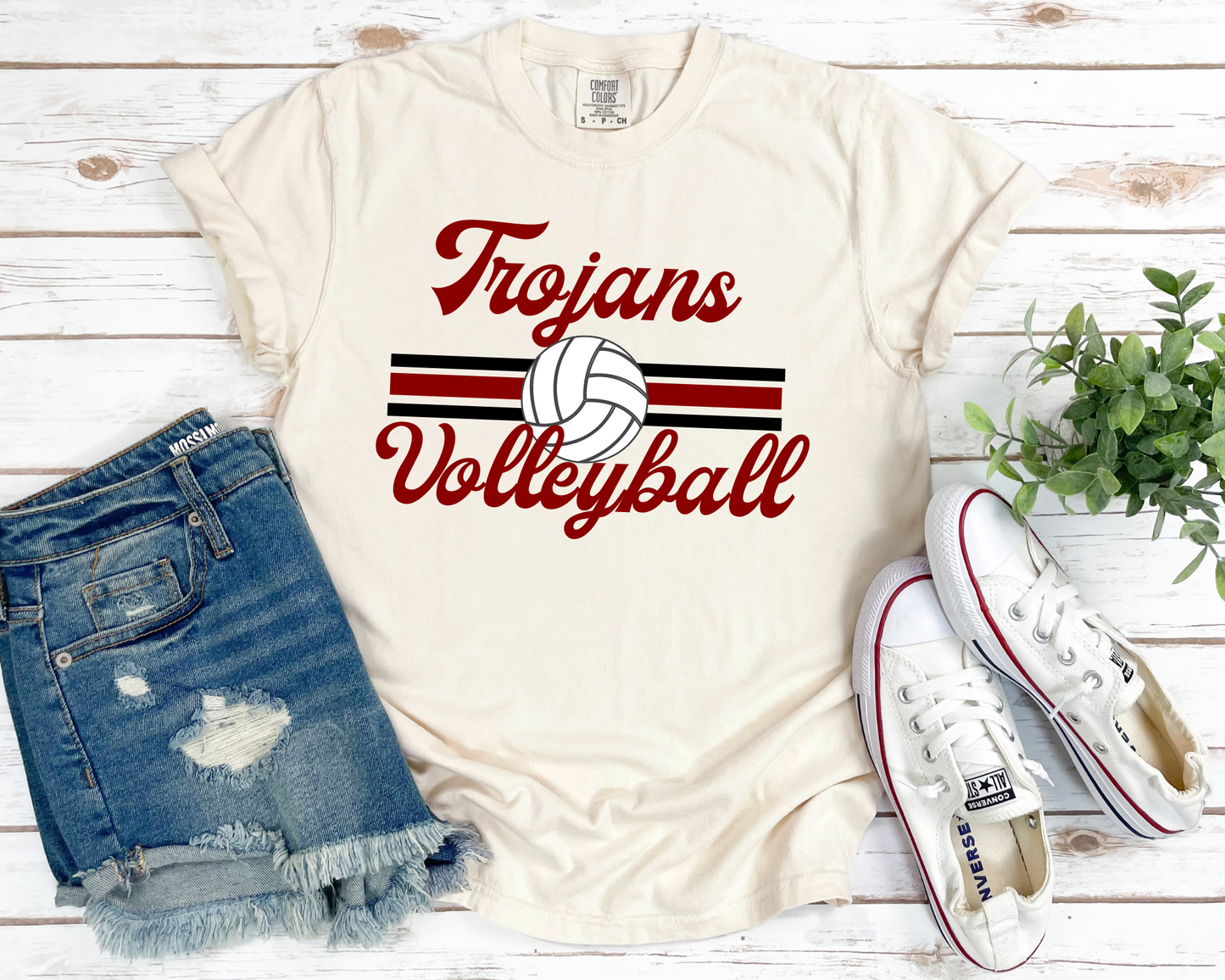 Retro Volleyball Tee