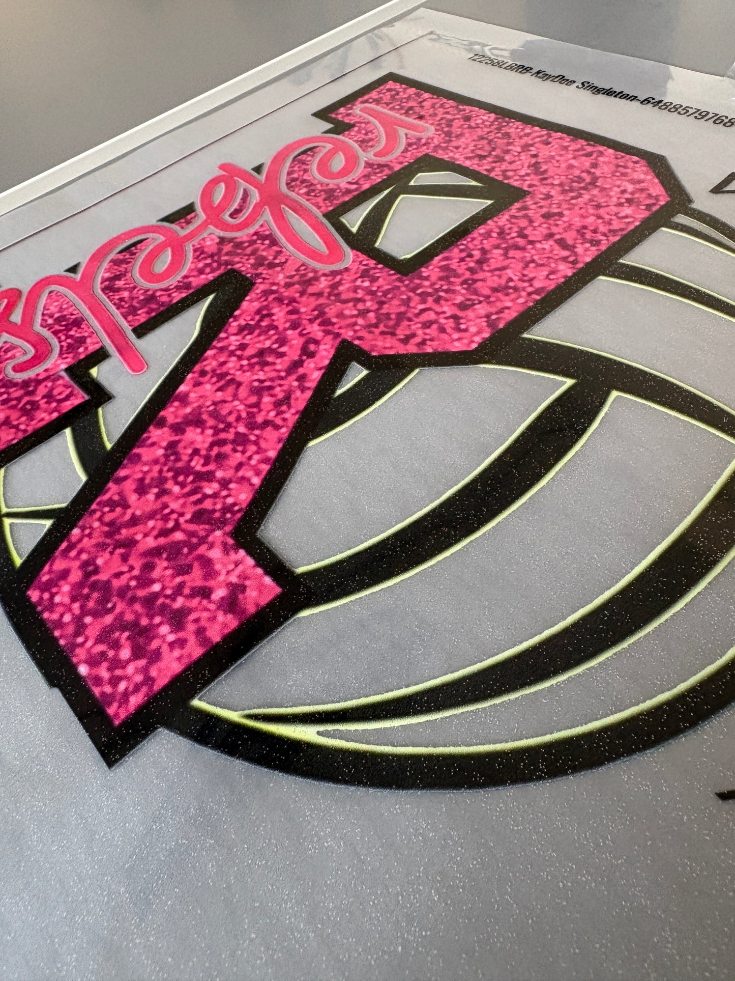GLITTER DTF PRINTS Silver or Gold Gang Sheets La Bella Rose Boutique