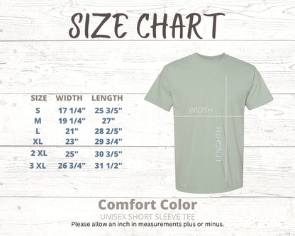 America 4th of July Tees 250 years Comfort color brand